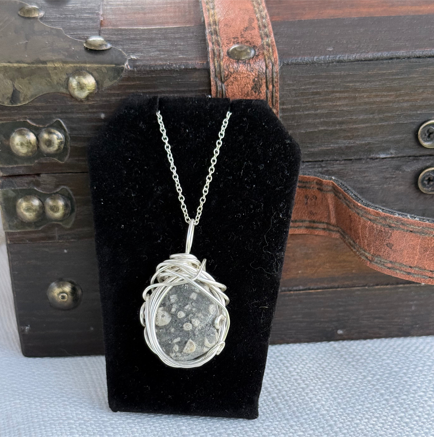 Crinoid Fossil Pendant