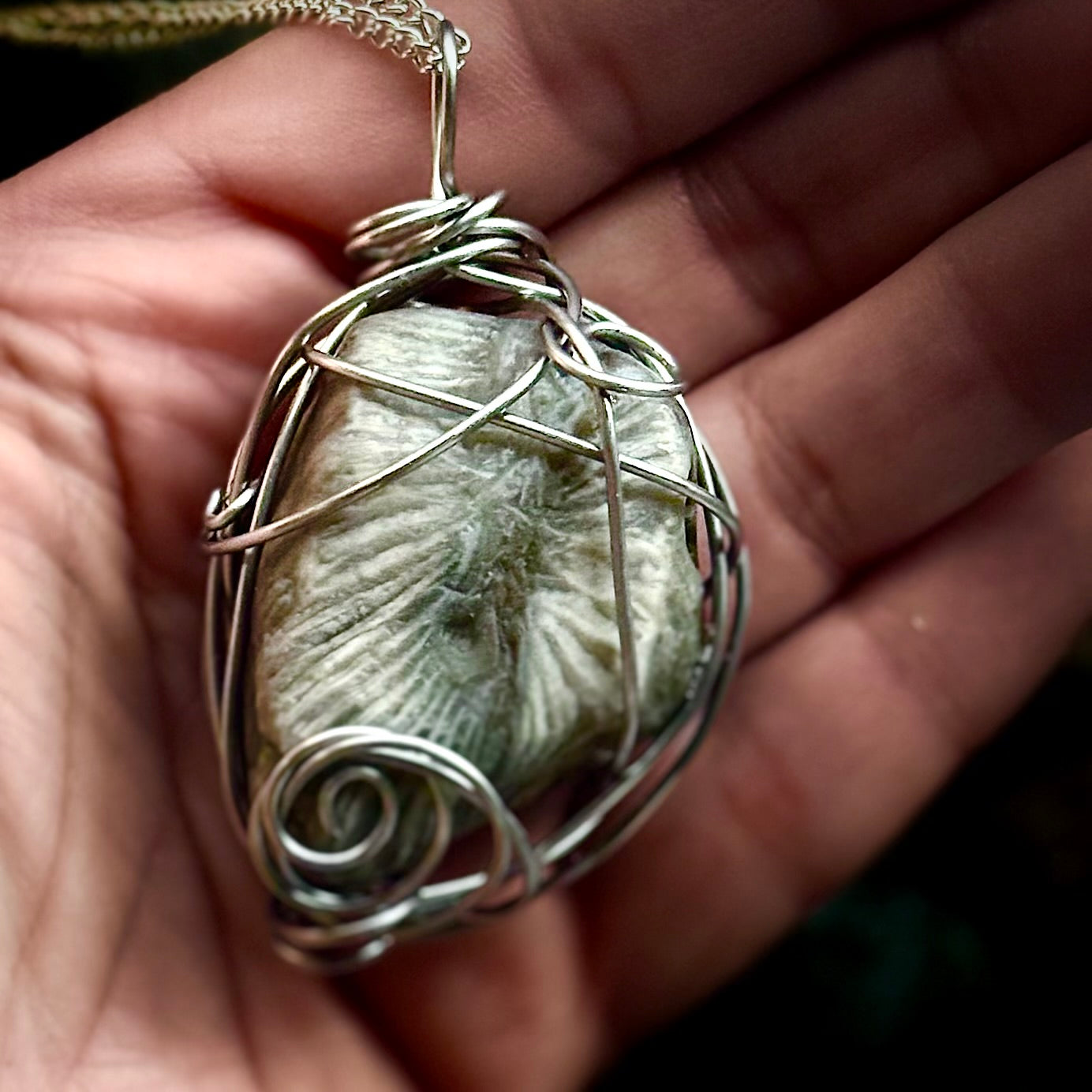 Large Fossilized Horn Coral Wire Wrapped Pendant