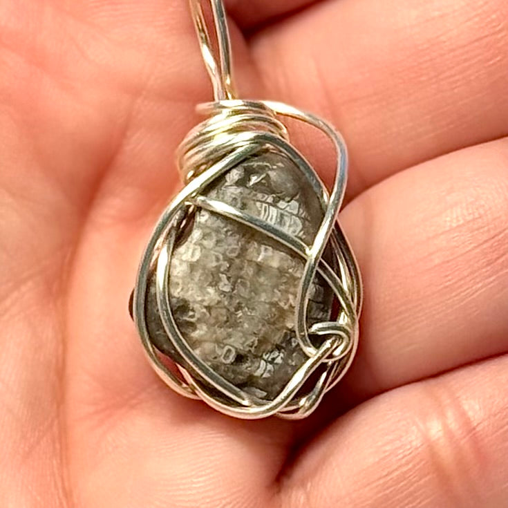 Embeded Fossilized Honeycomb Wire Wrapped Pendant