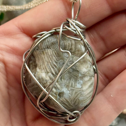 Large Fossilized Horn Coral Wire Wrapped Pendant