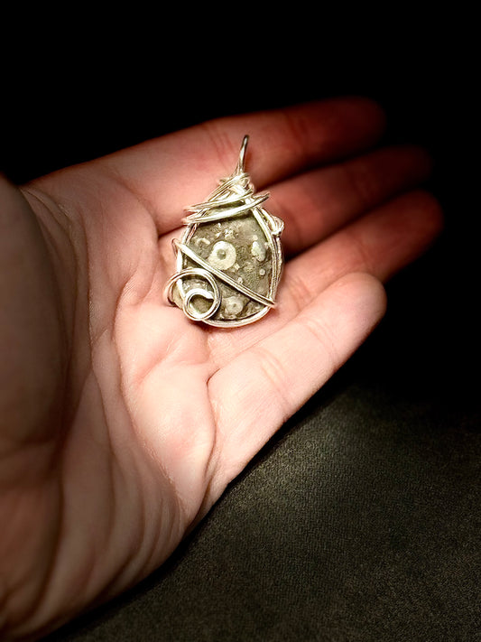 Crinoid Fossil Pendant