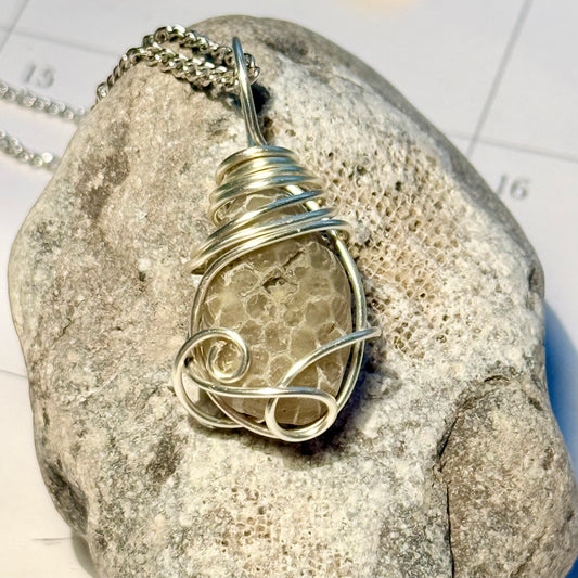 Petite Fossilized Honeycomb Wire Wrapped Pendant